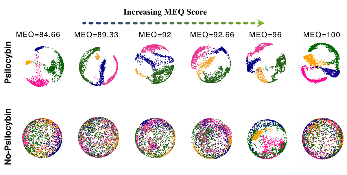 CEBRA embeddings