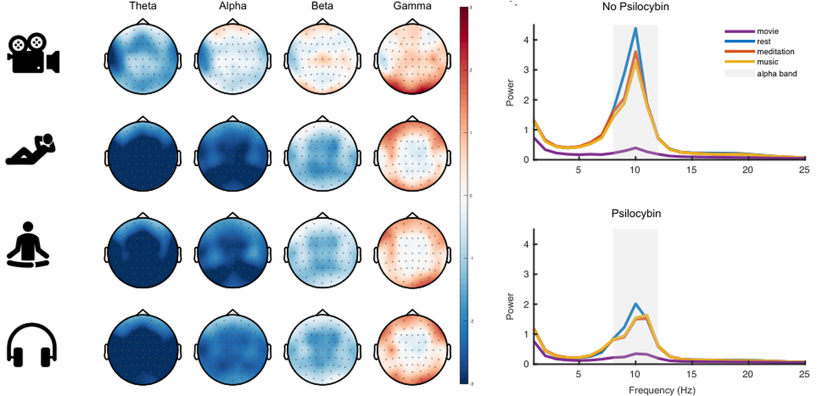 EEG Analysis